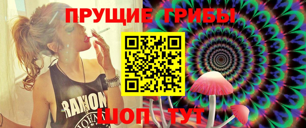 Торжок  Галлюциногенные грибы Magic Shrooms  Галлюциногенные грибы Psilocybine cubensis  Вход с VPN 