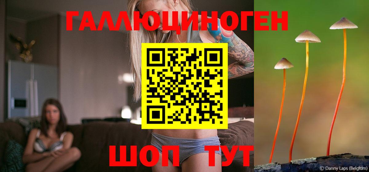 Псилоцибиновые грибы мухоморы Торжок